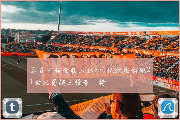 本菲卡转会收入达871亿欧元领跑21世纪葡超三强齐上榜