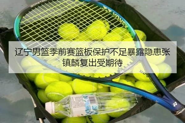 辽宁男篮季前赛篮板保护不足暴露隐患张镇麟复出受期待